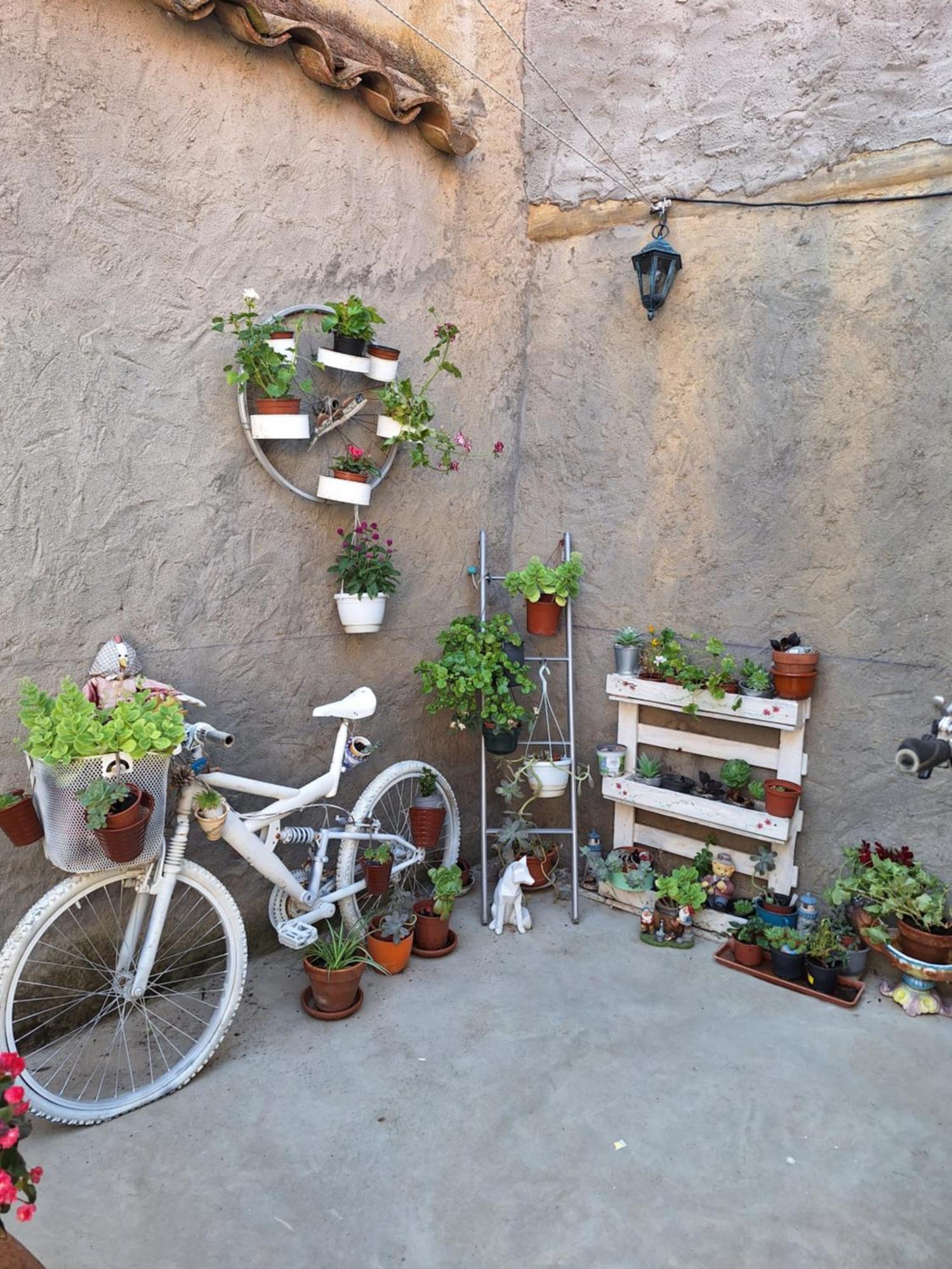 Casa Pita Siente Paz Y Calma En Un Lugar Con Encanto Bbc Btt Ninos Pets Βίλα San Justo de la Vega Εξωτερικό φωτογραφία